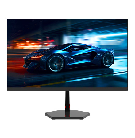 Монитор Sanc M2453FPG